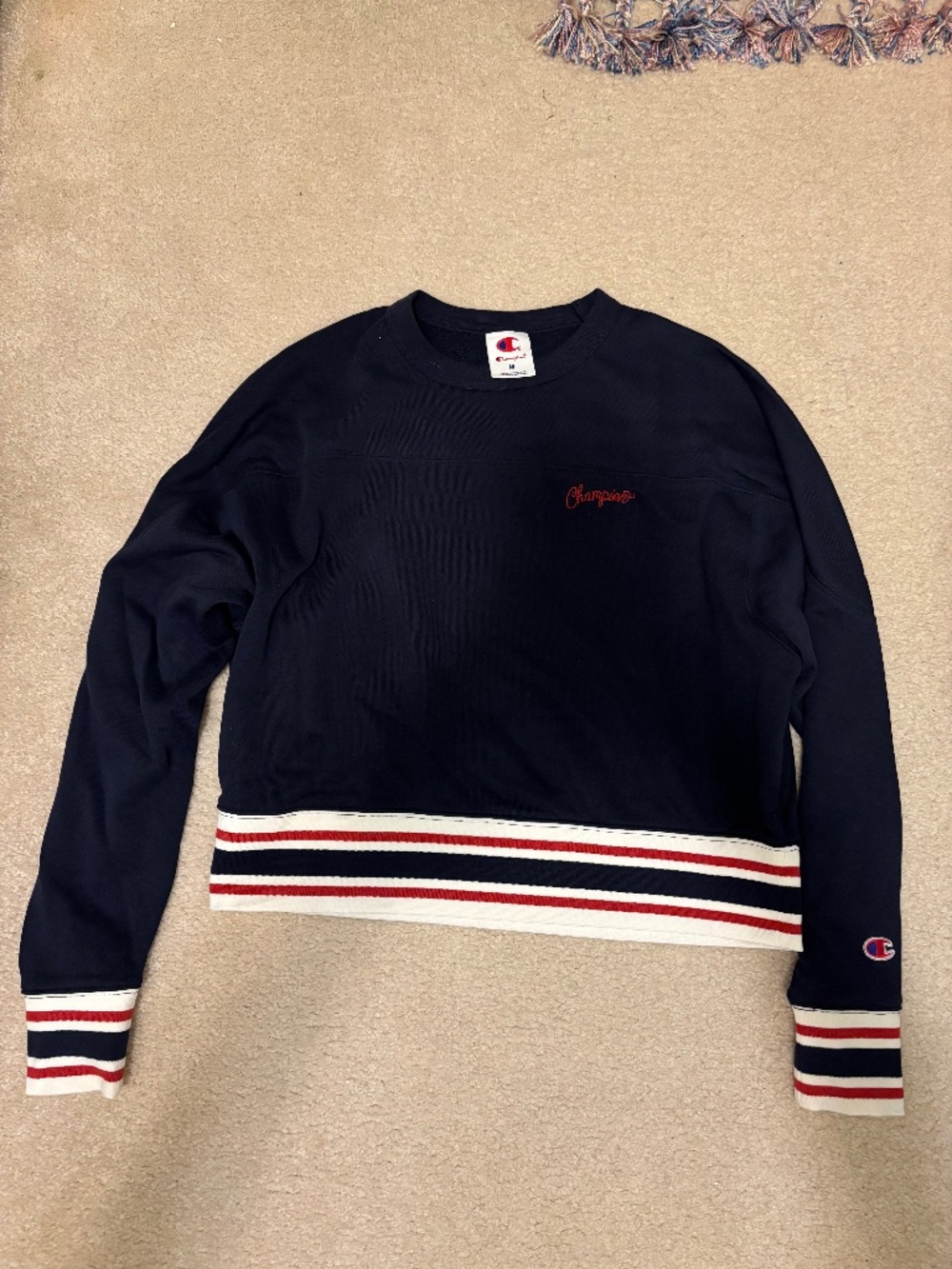 Champion crop sweater